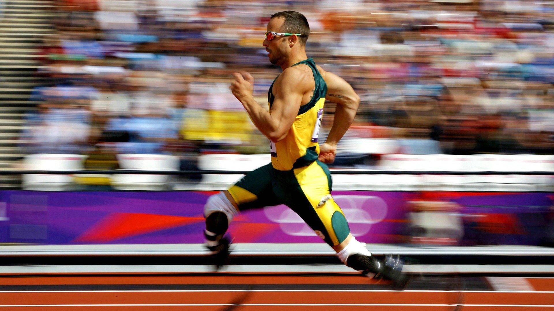 体育新闻中心深化体育原创视频数字版权保护措施,体育频道版权