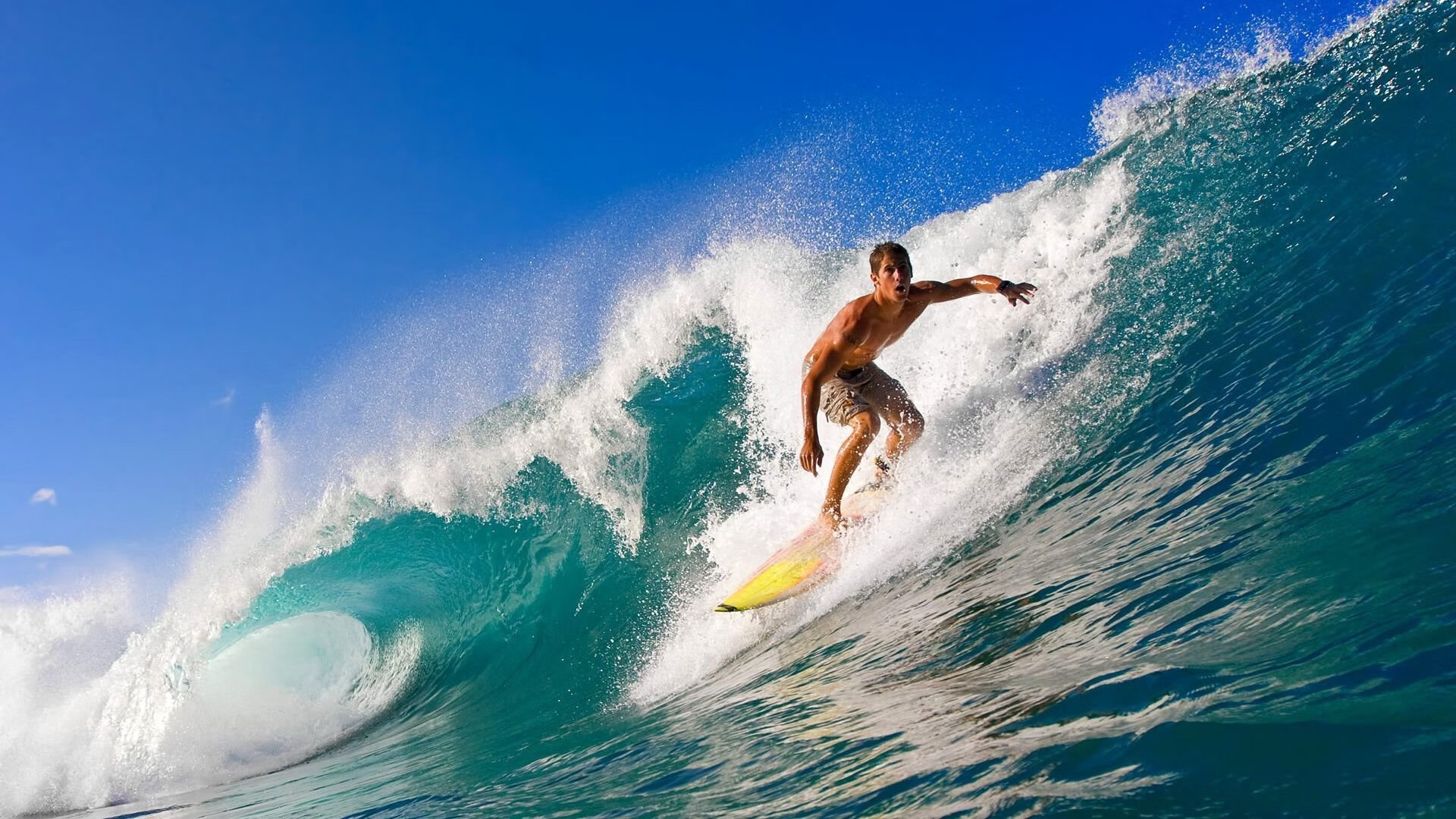 球迷互动:通过社交媒体创造最佳赛场气氛,球迷网络